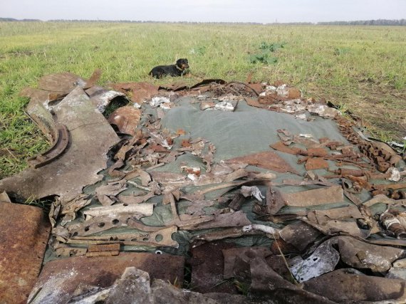В Долинском районе Кировоградской области нашли обломки сбитого немцами самолета ИЛ-2