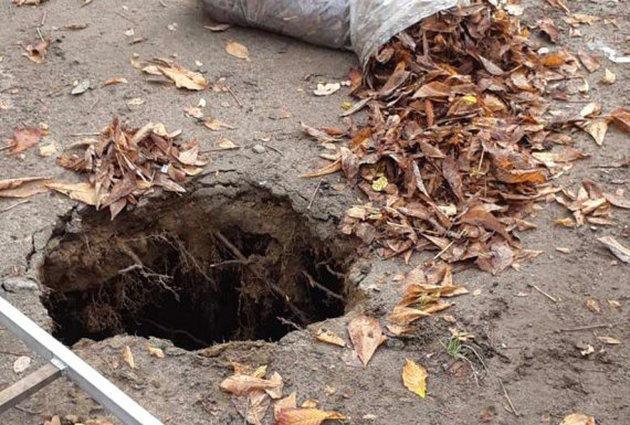 В Полтаве женщина дворник провалилась в яму во время работы и погибла