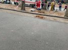 В Полтаве женщина дворник провалилась в яму во время работы и погибла