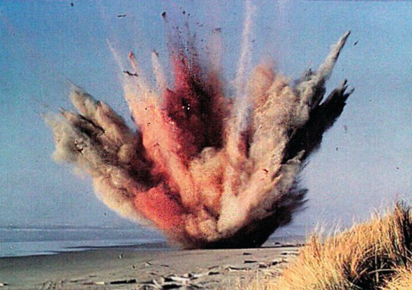 Тушу мертвого кашалота на пляжі міста Флоренція в американському штаті Орегон підірвали динамітом 12 листопада 1970 року. Про такий спосіб утилізації домовилися військові з керівництвом управління автомобільних доріг, якому належав пляж