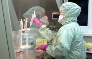 Медпрацівниця досліджує тести на коронавірус у бактеріологічній лабораторії Львівського обласного центру 9 листопада. ­Щодоби в Україні беруть понад 40 тисяч аналізів на виявлення інфекції