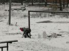 Шостку засипає першим снігом