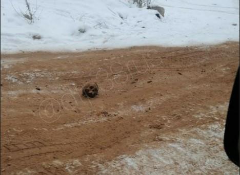 В Иркутской области России обледеневшую дорогу посыпали песком, в котором обнаружили человеческие кости