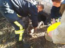 На Дніпропетровщині 12-місячний хлопчик мало не втопився у вигрібній ямі вуличного туалету