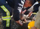 На Днепропетровщине 12-месячный мальчик чуть не утонул в выгребной яме уличного туалета