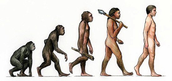 Теорія еволюції Дарвіна
