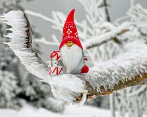 Будет ли в Украине снег на Рождество и Новый год