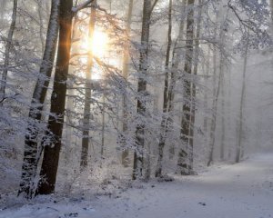 Снег и морозы: чем удивит погода в первую неделю зимы