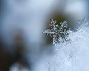 Климатологи заявили о начале метеорологической зимы в Киеве