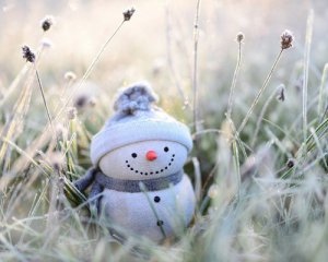 Температурні гойдалки, сніги та ожеледиця: чим дивуватиме погода в найближчі 10 днів