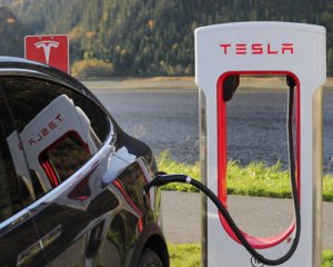 Будівництву автозаводу Tesla у Німеччині завадили змії