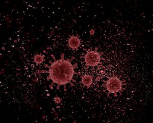 Науковці створили датчик для виявлення коронавірусу