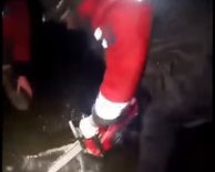 Спасатели несколько часов вырезали лед, в который вмерзли 40 животных
