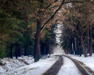 К концу недели погода еще удивит киевлян