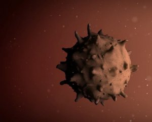 Как можно уничтожить коронавирус - нашли новый способ