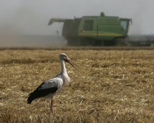 Створення нового аграрного міністерства заблокує аграрний бізнес на півроку - експерти