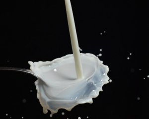 В Україні зменшилось виробництво молока