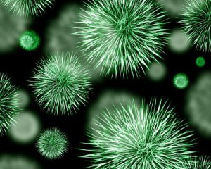 Новий штам коронавірусу: в ще одній країні підтвердили випадок зараження
