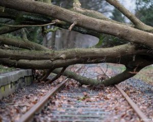 Нідерланди потерпають від урагану "Белла"