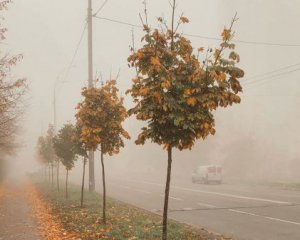 Синоптики попереджають про сильний туман