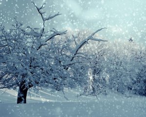 Україну завалить снігом: народний синоптик розповів, коли