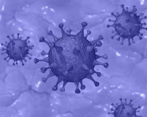 У Конго виявили невідому науці хворобу