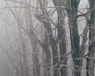 Будьте осторожны: Украину укутал густой туман