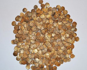 Мужчина нашел клад из более чем 1 тыс. золотых монет