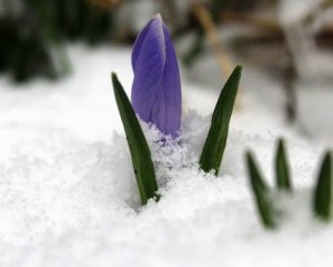 Холод і сніг чергуватиметься з теплом: народний синоптик дав прогноз на весну