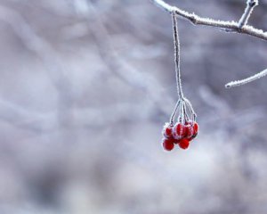 Якої погоди чекати на старий Новий рік