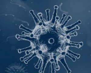 У країні зафіксували 16 нових штамів коронавірусу