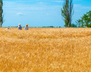 МЗС анонсує старт роботи сайту про Україну