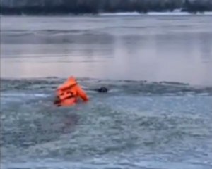 &quot;Он уже не лает&quot; - в Киеве спасли собаку, провалившегося под лед
