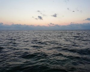 У Чорному морі затонув суховантаж з українцями на борту: є загиблі