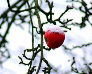 Яростные морозы не отступают. Когда ожидать -27 и когда придет потепление