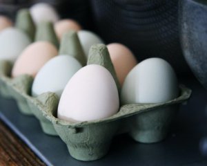 Золоті яйця: назвали причину шаленого подорожчання