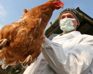 На Київщині зафіксували спалах пташиного грипу