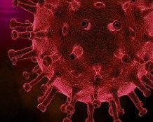 Как выглядит коронавирус в 3D - ученые сделали первое фото