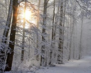 Частину України завалить снігом