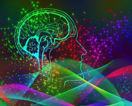 Збирає врожай з людською швидкістю: створили робота, який допомагає фермерам