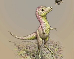 Дитинчата тиранозаврів були завбільшки з дорослого собаку