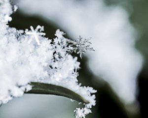 Дощі та снігопади: де в Україні пануватиме циклон