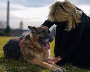 Собаки Джо Байдена переехали в Белый дом