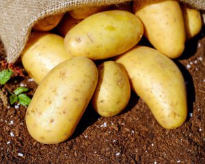 В Україні дорожчає картопля