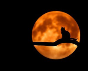 Місяць має вплив на сон людини - вчені