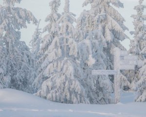 Без света и сообщения: февраль начнется с ухудшения погоды