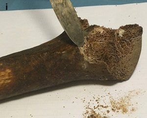 Опровергли подлинность мощей святого