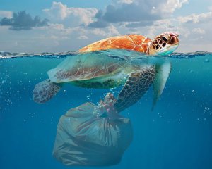 Штучний інтелект шукатиме сміття в океані через фото