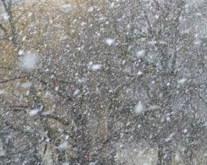 Хвижа та сніжниця - як одним словом влучно охарактеризувати погоду