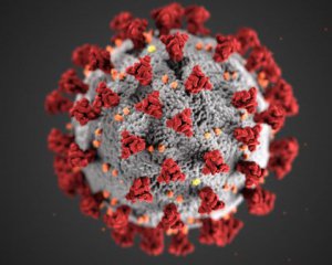 Смертность от коронавируса в ОРДЛО выше, чем где-либо в мире